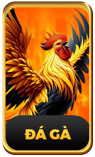 Sảnh Chơi Đá Gà