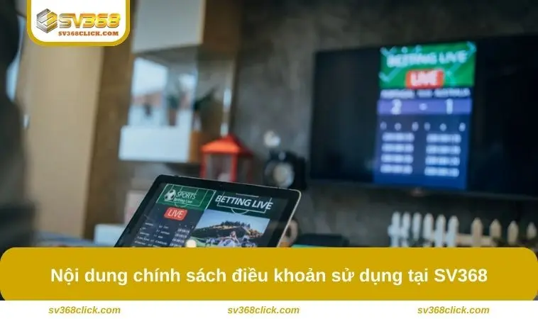 Nội dung chính sách điều khoản sử dụng tại SV368