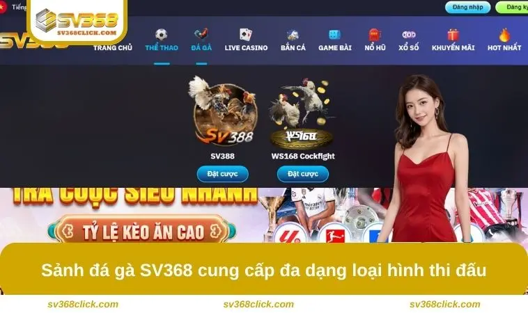 Sảnh đá gà SV368 cung cấp đa dạng loại hình thi đấu